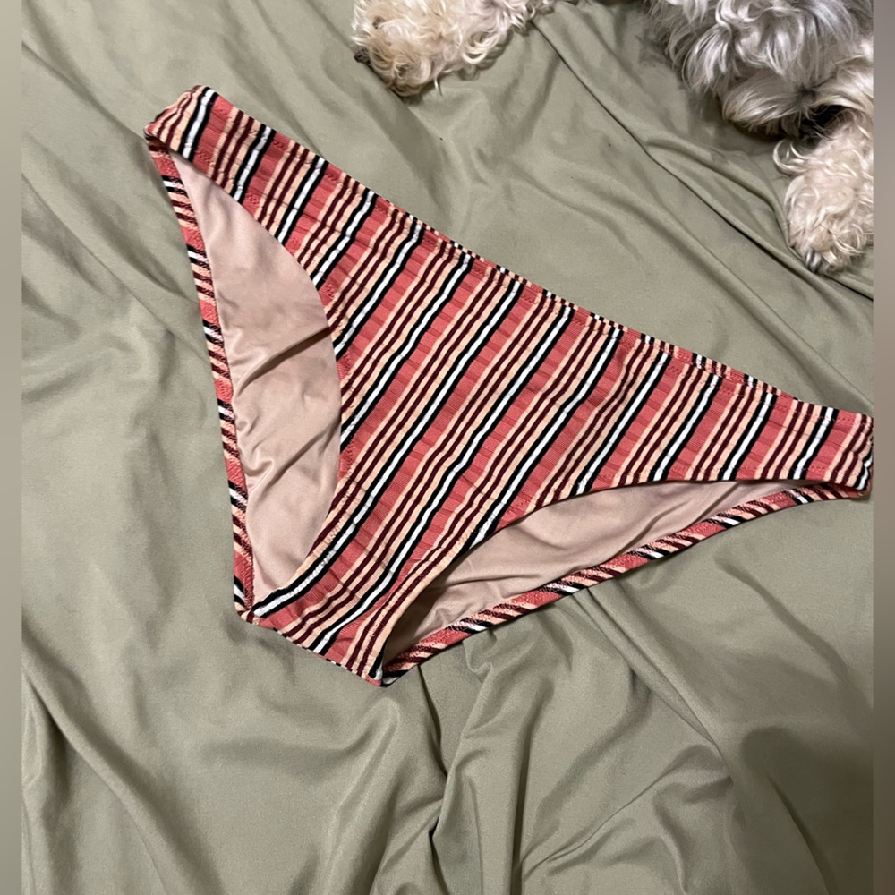 Multicolored striped bikini bottoms